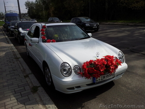 обслуживание свадеб. #827048