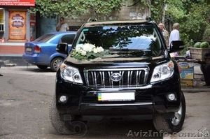 VIP автоперевозки #830128