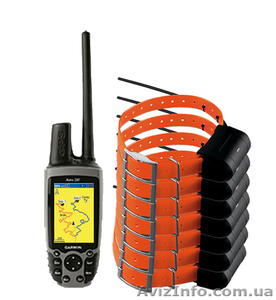  For sale Furuno Fishfinder,  Garmin Astro, Chartplotter Fishfinder and  #833321