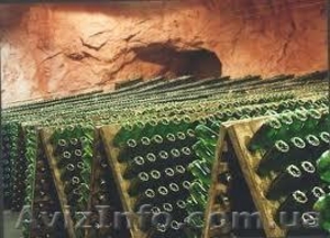 Экскурсии по интересам на любой возраст. #828732