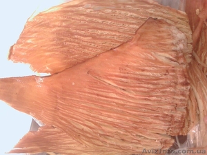 Продажа Рыбных сушеных снеков #821176