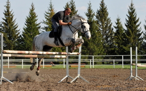 конные прогулки уроки верховой езды #816159