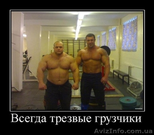 Профессиональные,  трезвые грузчики #822441
