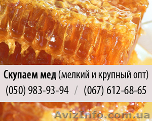 Покупка меда крупным и мелким оптом в Днепропетровске #825379