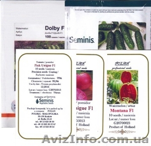 Розничная продажа семян овощных культур от производителей голландской #816355