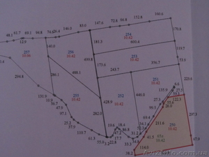 продам земельный пай 10, 4 га #825399
