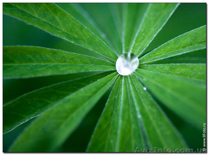 Требуются менеджеры по персоналу #826727