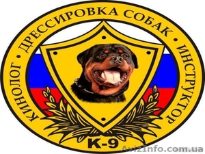 Консультации кинолога #819539