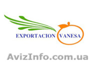 Продам овощи с Испании на Украину #822341