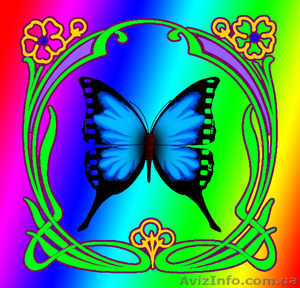 Видеосъёмка фотограф  #826743