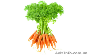 оптовая продажа овощей #824740