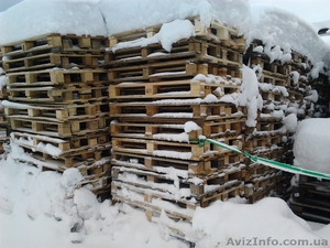 Поддоны облегченные б/у 2-й сорт  #828411