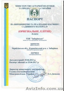 качественный картофель семенной Германия,  Нидерланды #814876