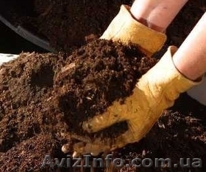 Удобрения(навоз,  перегной) #821485