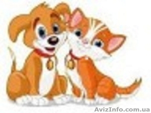 Ветеринарная помощь надому #820940