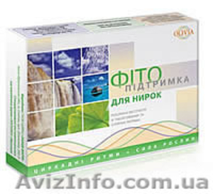 Фитокомплекс «Фитоподдержка для почек»  Olivia #828471