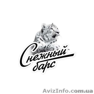 Регистрация ООО,  ЧП,  ФЛП #535999