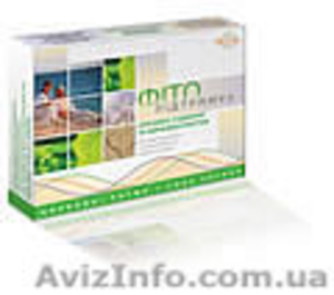 «Фитоподдержка сердечно-сосудистой и нервной систем» Olivia #833142