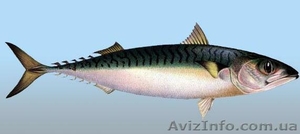 вяленая, копченая, свежемороженая рыба #827754