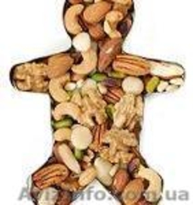 Орехи мелким оптом. С нами ВЫГОДНО работать. #829141