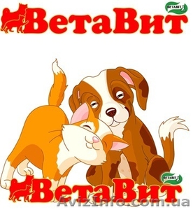 Ветавит – современный пробиотик для собак и кошек #825063
