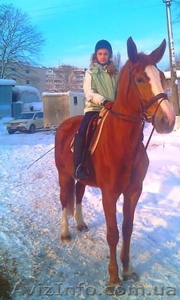 Конные прогулки в Киеве #828729