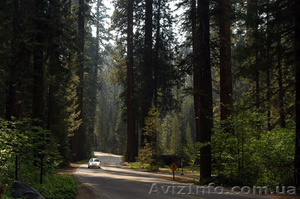 Земельные участки 7км от Киева #824033