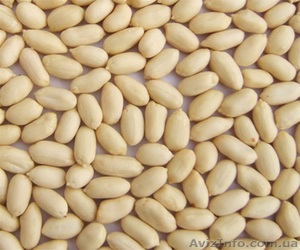 бланшированный арахис ,  калибр  35/39 #834364