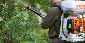 Опрыскивание сада от болезней и вредителей #845402