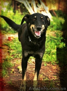 Особливий Друг шукає свою Сандру Баллок! #842471