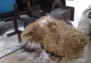 Дробилка для щепы #851268