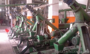 Пресса ООО НПП Экструдер #842300