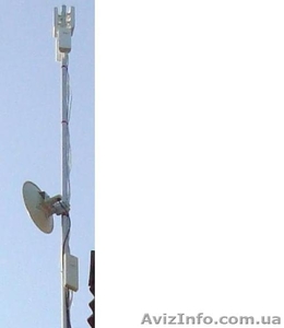 Интернет область 20-50-100 Мбит гарантированный канал #842693