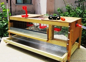 Клетки для перепелов под заказ. #842909