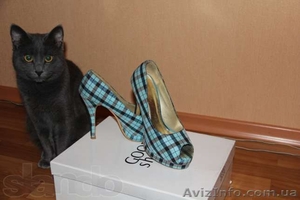 Женская обувь туфли #848654