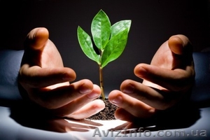 Компания реализует в широком ассортименте СЗР #841041