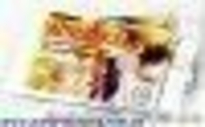 Апилекарь           15грн.   (1 пак.х 100 г. на 1 пчелосемью)  #846215