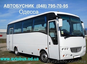 Автобусник. Аренда бусов от 10 до 70 мест #846720