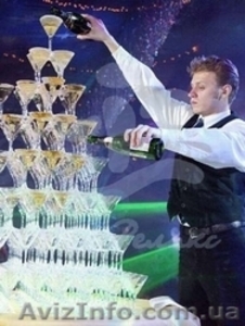 Обучение барменов – профессиональный курс #851049