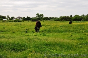 Хазяин. Срочно продам землю - Центр,  район универмага \