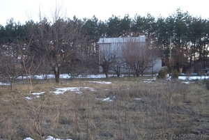 Дачный уч-к 7.2сот. на берегу Днепра в сосновом лесу. #843093