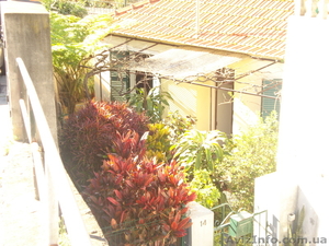 Сдается дом для отдыха на курорте в субтропической зоне о. Мадейра Португалия. Б #837615