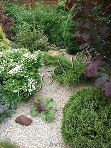 Услуги по ландшафту #842953