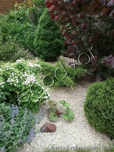 Озеленение участка #844616