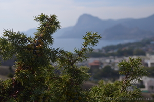 Срочно продаю земельный участок в Судаке! #845487