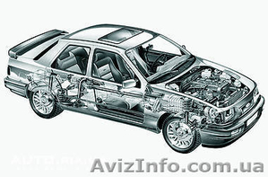 АНАТОЛІЙ-CERVIS #834802