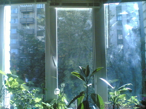 Продам 2-х комнатную гостинку #836558