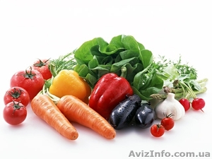 Продам оптом овощи Херсонская область  #840486