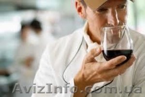 Курсы солмелье. Учебный центр 