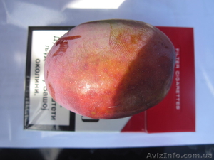 Саженцы яблони,  груши,  черешни и винограда #547664